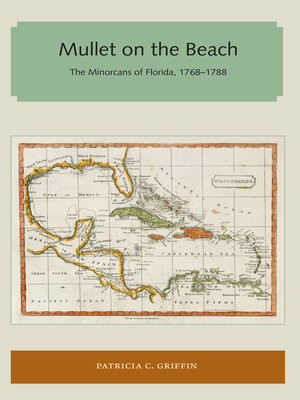 cover image of Mullet on the Beach